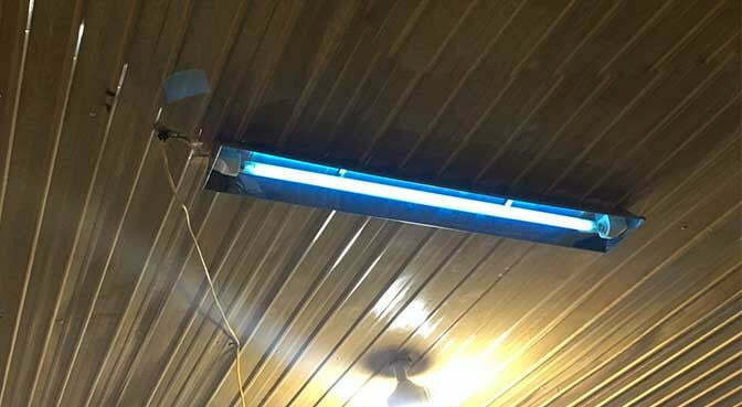 Lắp đặt bóng đèn diệt khuẩn tia cực tím UV Philips trên trần nhà