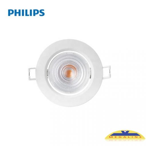 rs251 philips